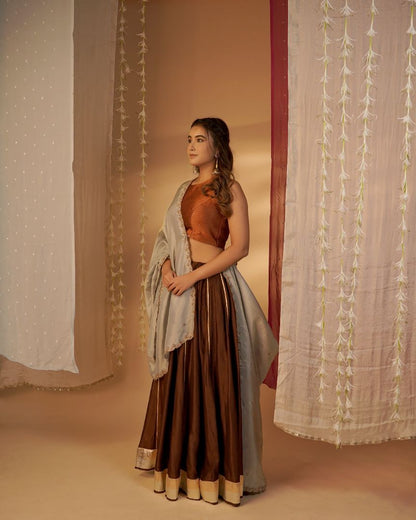 Brown & Rust Lehenga Set