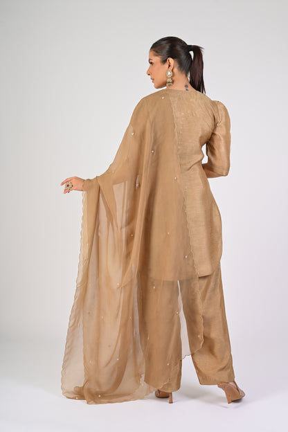 Dull Gold Kurta Set