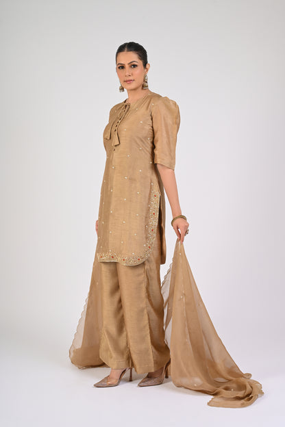 Dull Gold Kurta Set